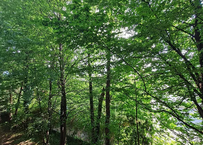 شقة Einladend غراتس